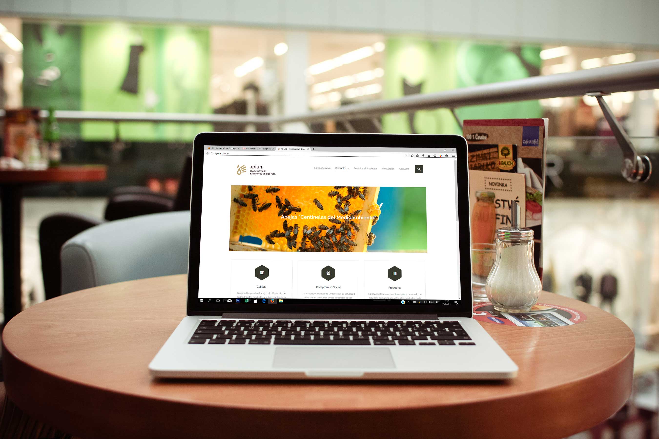 apiuni_web