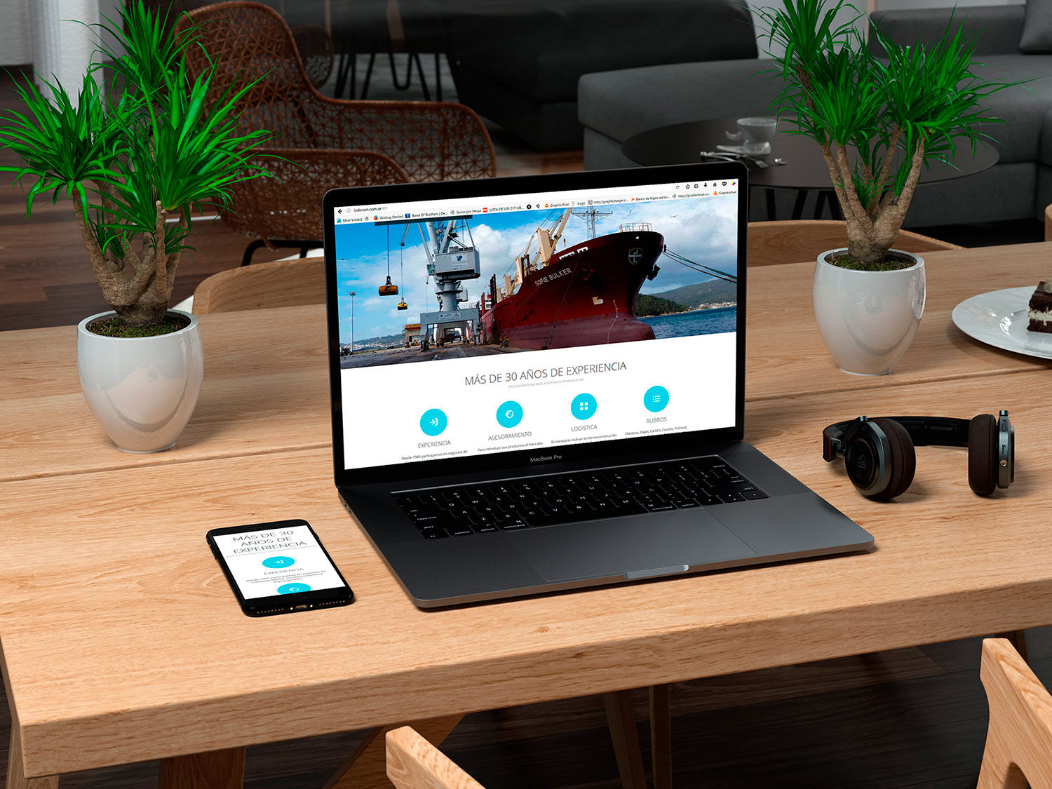 Web Indecon Soluciones